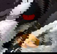 Lil' Orbit - Rental Cars