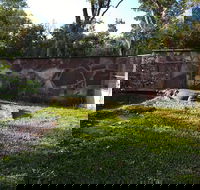 Corroboree Park Tavern - Rental Cars