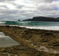 Bruny Island Berry Farm - Rental Cars