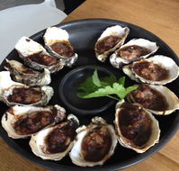 Get Shucked Oyster - Rental Cars