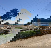 Penguin  Pardalote Coffee House - Rental Cars