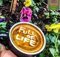 Full of Life Organics - Rental Cars