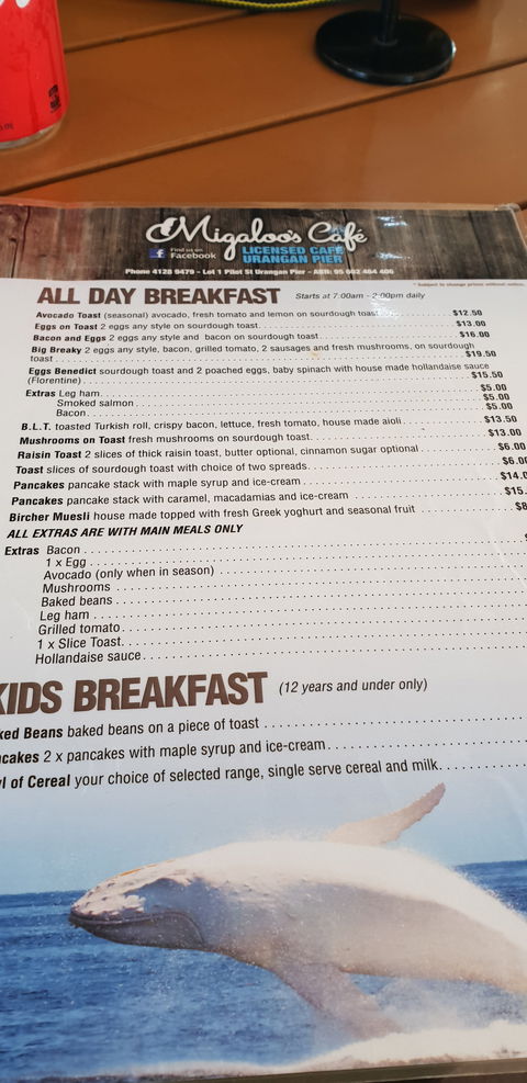 Migaloo's Cafe - Rental Cars 3