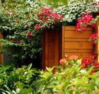 Pink Flamingo - Rental Cars