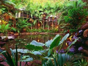 Daintree Eco Lodge & Spa - Rental Cars 0