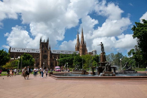 YEHS Hotel Sydney Harbour Suites - Rental Cars 16