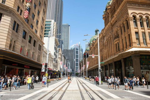 YEHS Hotel Sydney Harbour Suites - Rental Cars 2