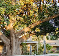 Kimberley Grande Resort  Conf Ctr - Rental Cars