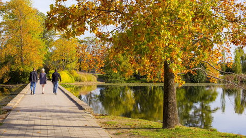 Crowne Plaza Canberra - Rental Cars 17