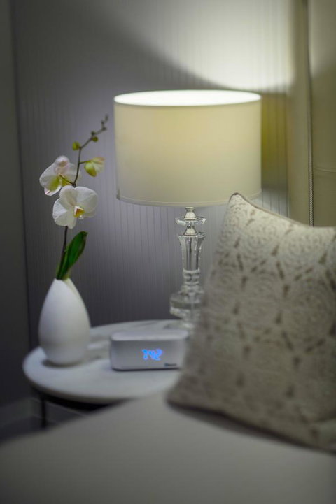 Mayfair Hotel - Rental Cars 13