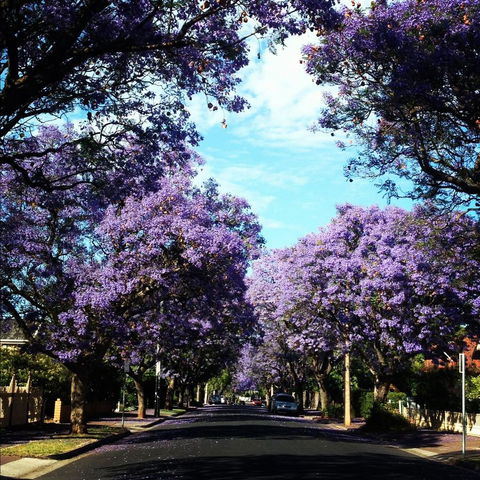 Monaco Court Apartment Adelaide - Rental Cars 0