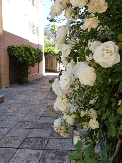 Monaco Court Apartment Adelaide - Rental Cars 19