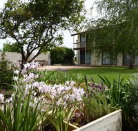 Coonawarra Motor Lodge - Rental Cars