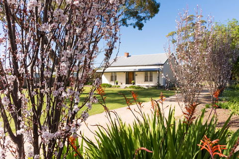 20 Hill Avenue Bed & Breakfast - Rental Cars 1