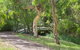 Villa Sedici @ Cape Villas Dunsborough - thumb 11