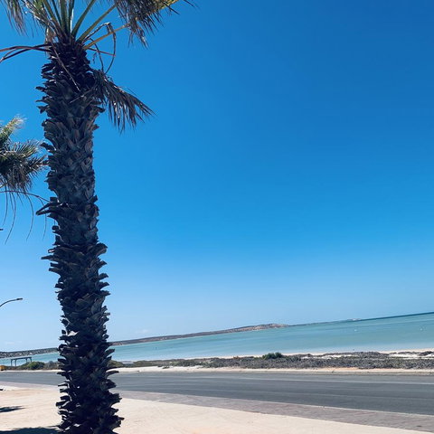 Bay Lodge - Rental Cars 8