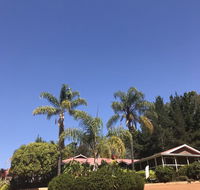 Forest Lodge Resort - Rental Cars