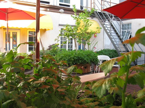 European Hotel - Rental Cars 9