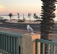 Shark Bay Seafront Apartments - Rental Cars