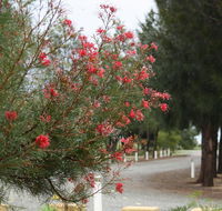 The Heights Bed  Breakfast - Rental Cars
