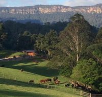 Amaroo Valley Springs - Rental Cars