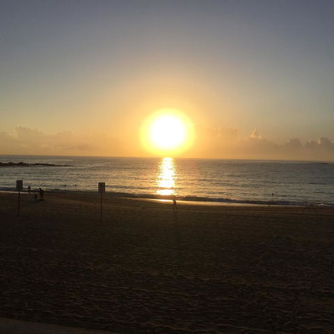 Coogee Sands Hotel & Apartments - Rental Cars 24