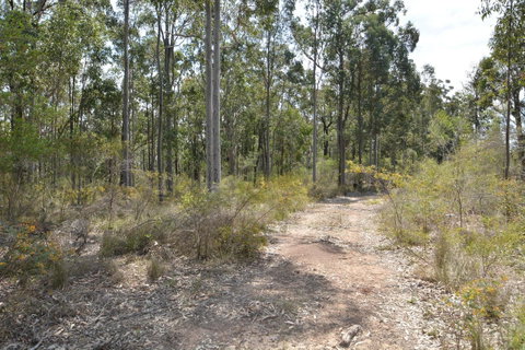 JE Guesthouse, Central To All The Hunter Valley Has To Offer - Rental Cars 44