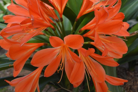 JE Guesthouse, Central To All The Hunter Valley Has To Offer - Rental Cars 39
