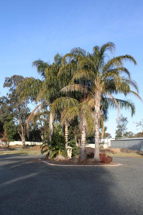 Temora Motel - Rental Cars 6