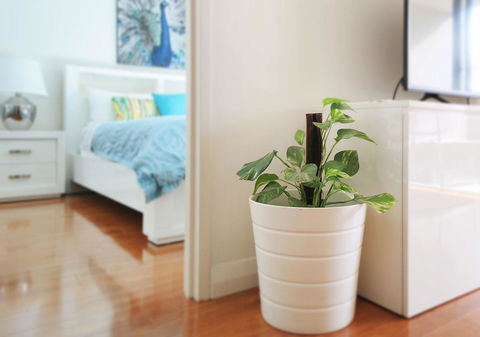 Sydney Apartment Close To Airport & CBD - Rental Cars 7