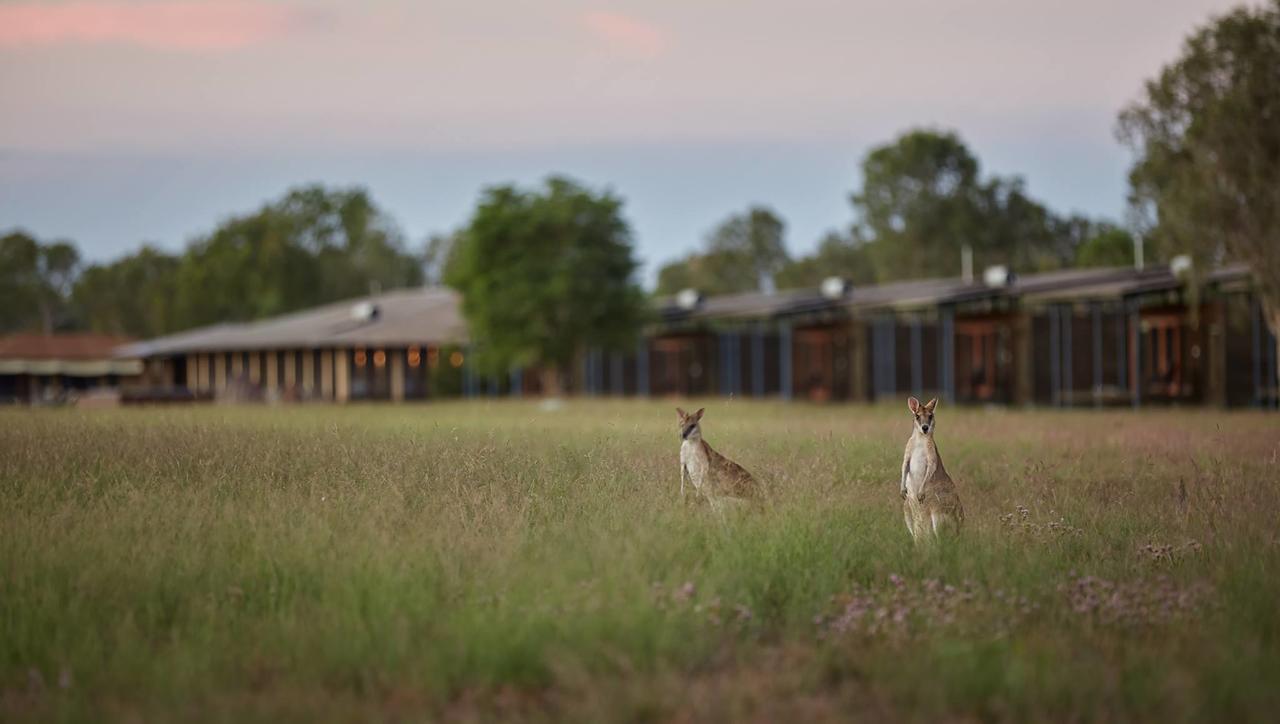 Cox Peninsula NT Rental Cars