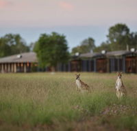 Wildman Wilderness Lodge - Rental Cars