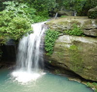 Buderim Forest Hideaway - Rental Cars
