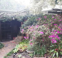 Charming country house close to Grafton - Rental Cars