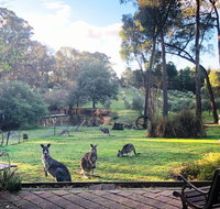 Countryside Retreat Spa Cottage Hepburn - Daylesford - Rental Cars