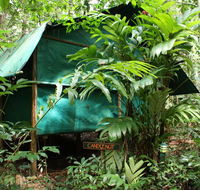 Daintree Crocodylus - Rental Cars