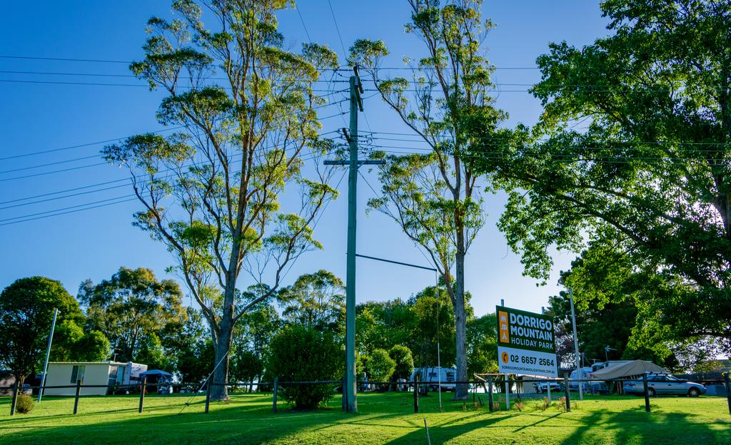 Wild Cattle Creek NSW Rental Cars