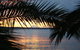 Edgewater Gardens Batemans Bay - thumb 3