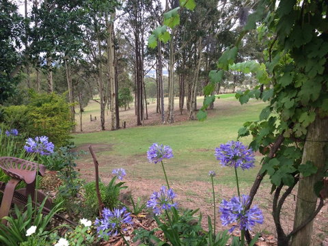 Elfin Hill Vineyard Accommodation - Rental Cars 2