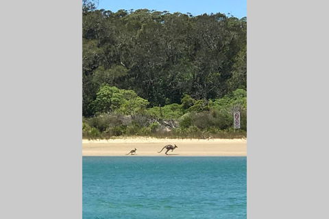 FAIRVIEW COTTAGE 25B - Waterfront Accommodation - Rental Cars 0