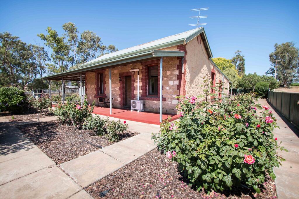 Petwood SA Rental Cars