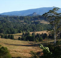 Grey Gum Lodge - Rental Cars