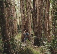 Habitat Noosa - Rental Cars