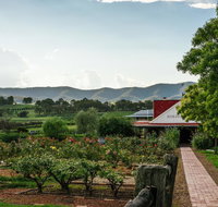 Hanging Tree Wines - Rental Cars