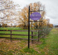 King River Cottage - Rental Cars