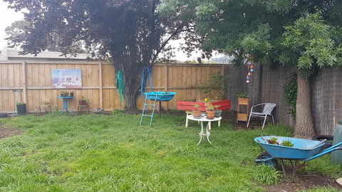 Kismet B&B - Rental Cars 1