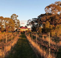 Lillicur Vineyard BB - Rental Cars