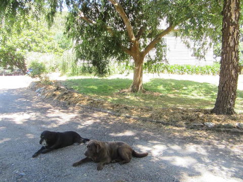Molenda Lodge Farm Let - Rental Cars 3