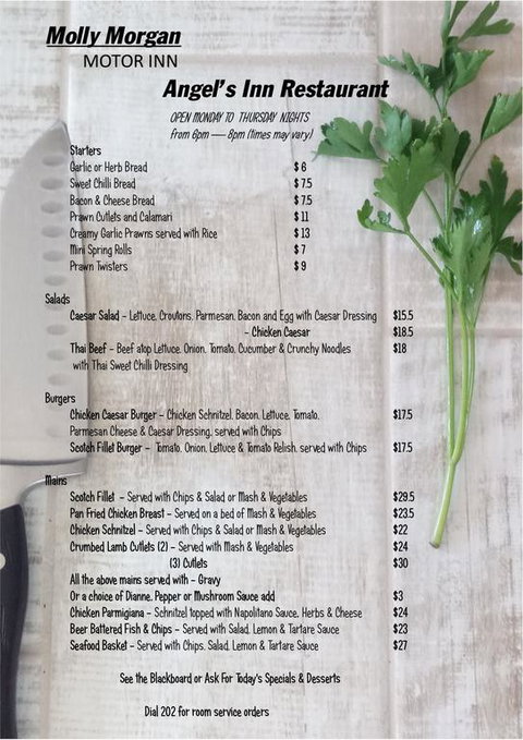 Molly Morgan Motor Inn - Rental Cars 3