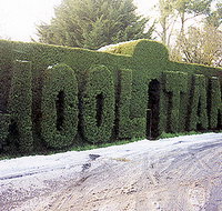 Mooltan House - Rental Cars